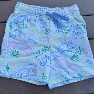 Dinosaur Print Kids Shorts